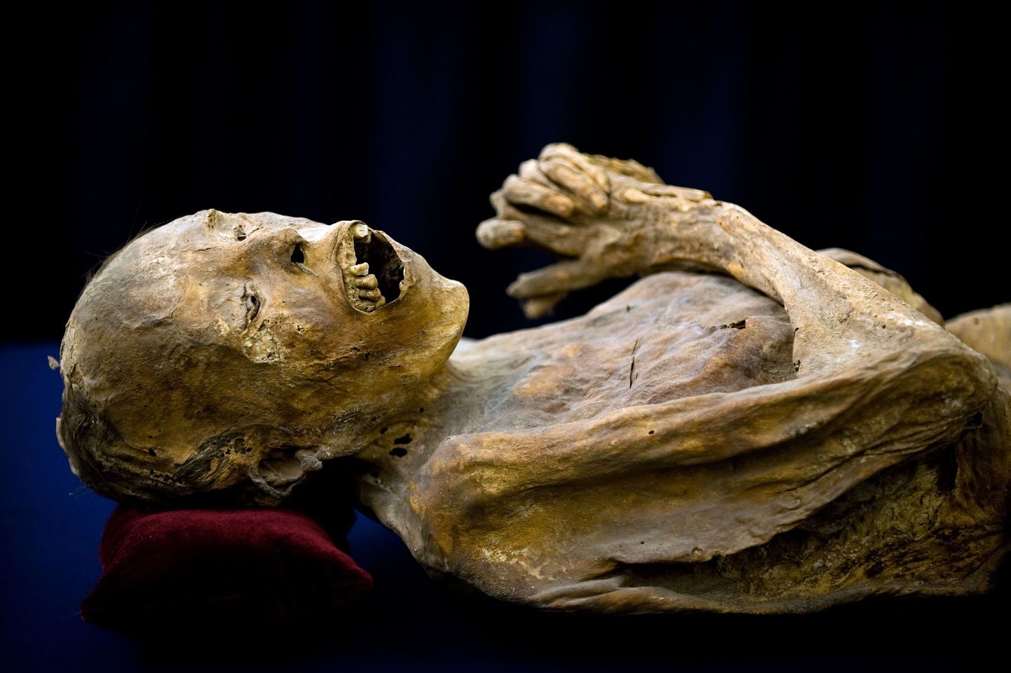 Telekanal otsib surmahaigeid, keda mumifitseerida. Fotol Mehhikost pärit muumia