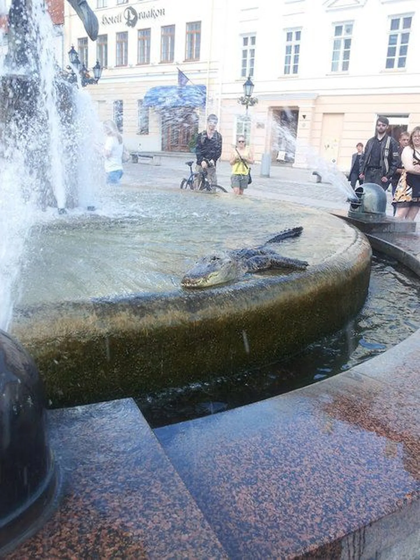 Крокодил в фонтане на Ратушной площади в Тарту