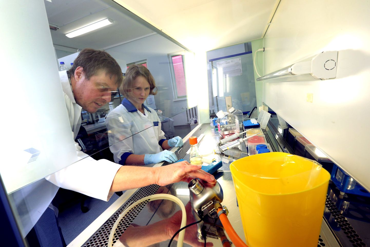 Biotehnoloogiafirma Icosagen tehnoloogiadirektor Andres Männik uurib rakukultuuri laboris, mis võiks gaasipõletil küll viga võiks olla, et see tööle ei lähe. Tema kõrval ootab oma tööjärge spetsialist Kadri Kangro.