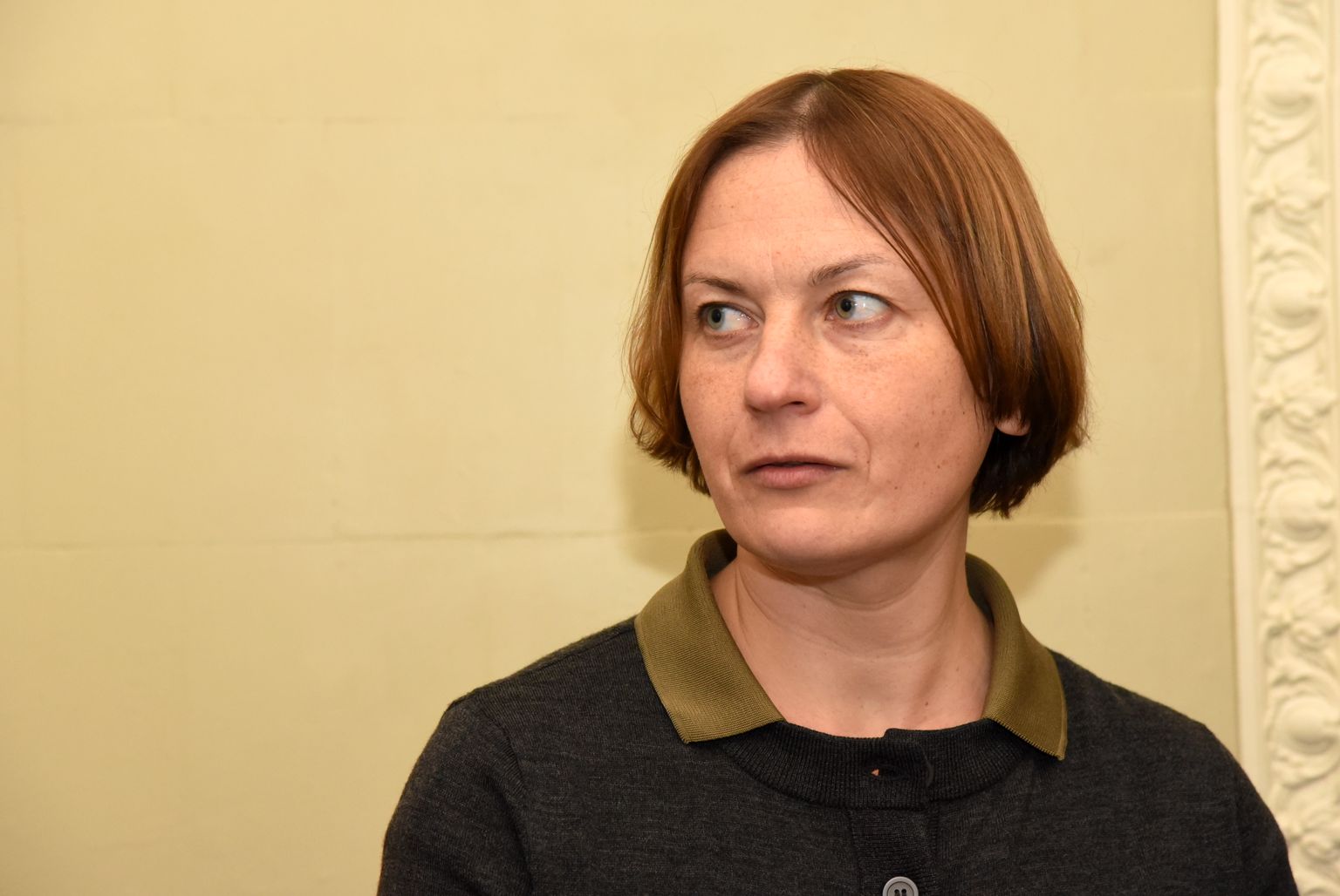 Māksliniece Anta Pence piedalās Latvijas Grāmatizdevēju asociācijas rīkotajā preses konferencē, kurā paziņo grāmatu mākslas konkursa "Zelta ābele 2017" nominantus.