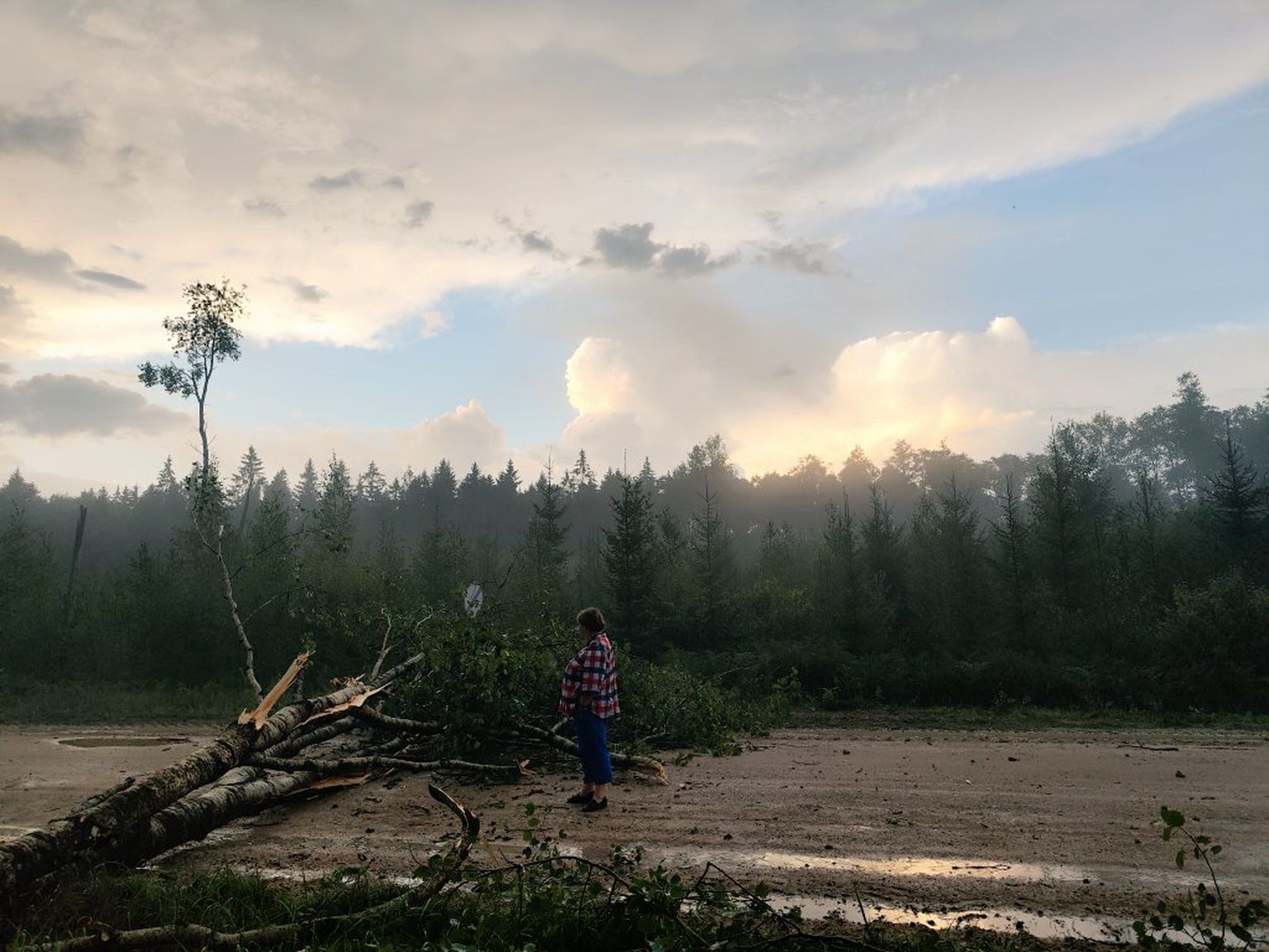 Последствия непогоды