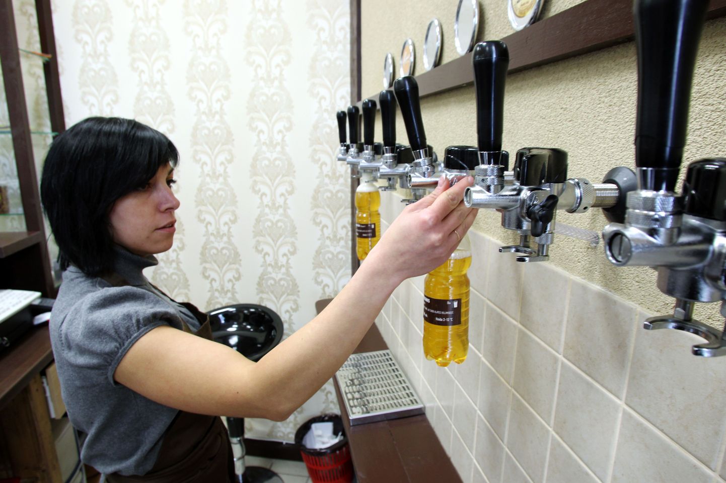 Aprillis avas OÜ Elav Õlu õllemüügileti Maardu ja Muuga vahel asuvas Maxima kaubanduskeskuses.