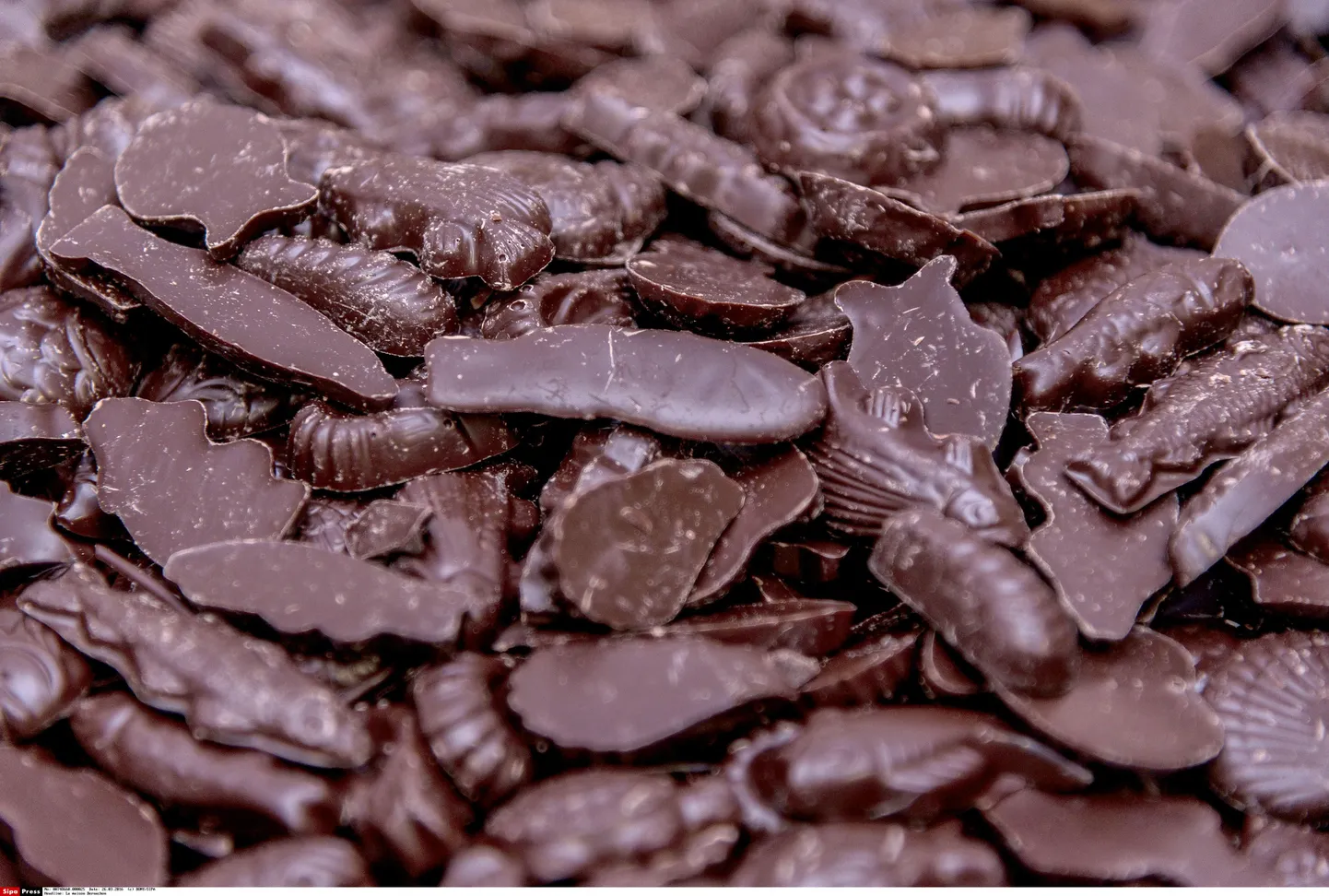 Teadlased väidavad, et sooleelustikku mõjutab näiteks see, missugust šokolaadi eelistame.