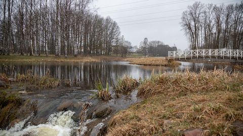 ����: rus.postimees.ee