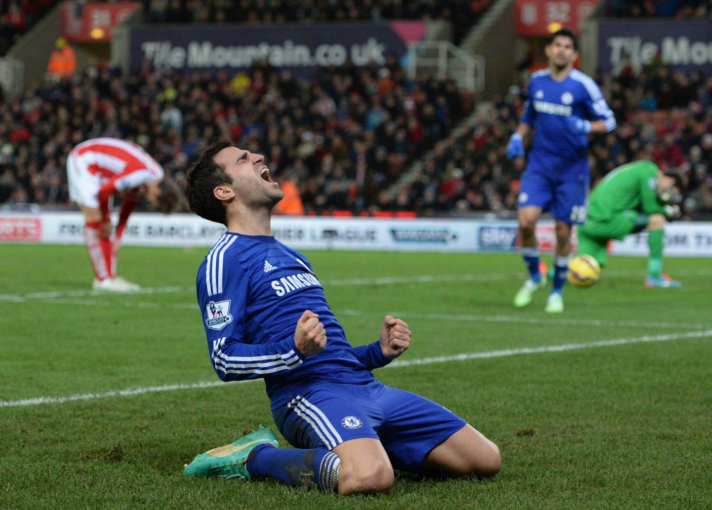 Cesc Fabregas tähistamas Stoke City vastu löödud väravat.
