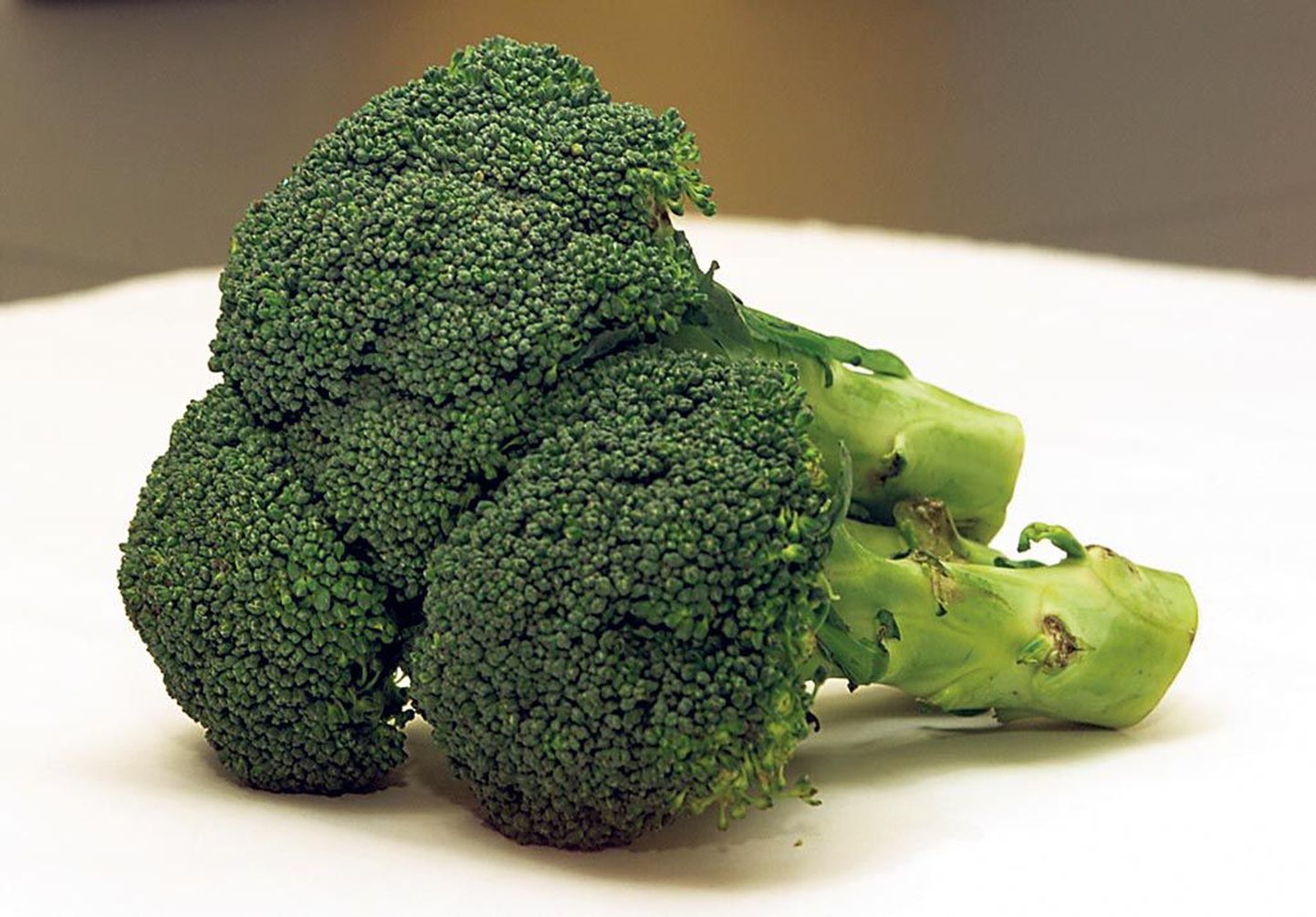Spargelkapsast ehk brokolit peetakse tervisele väga kasulikuks taimeks.