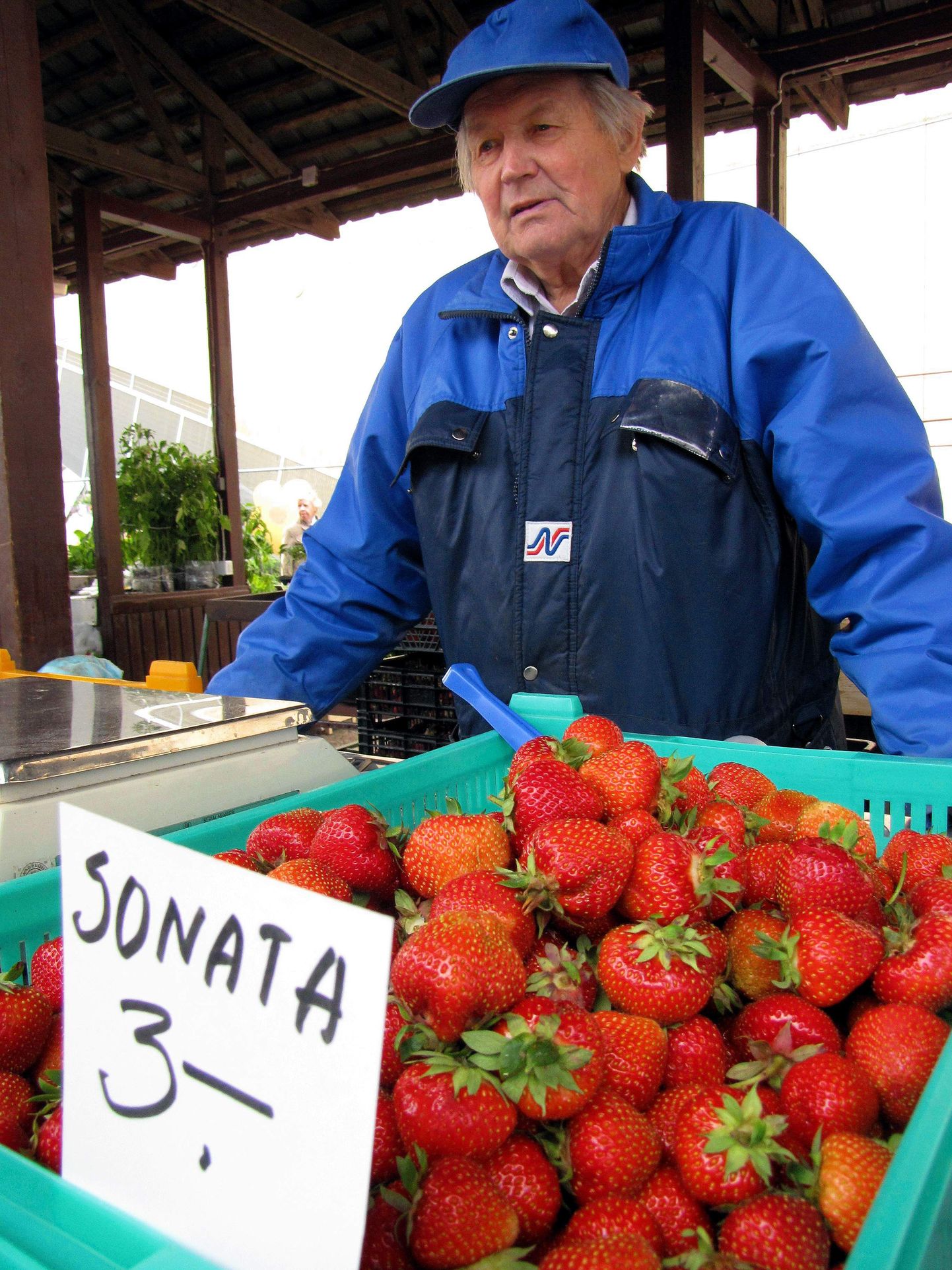 Maasikamüük Viljandi turul.