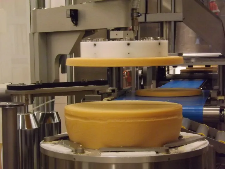 Автомат нарезает твердый сыр Forte сначала на тонкие круги, которые только потом становятся знакомыми треугольничками. Фото: