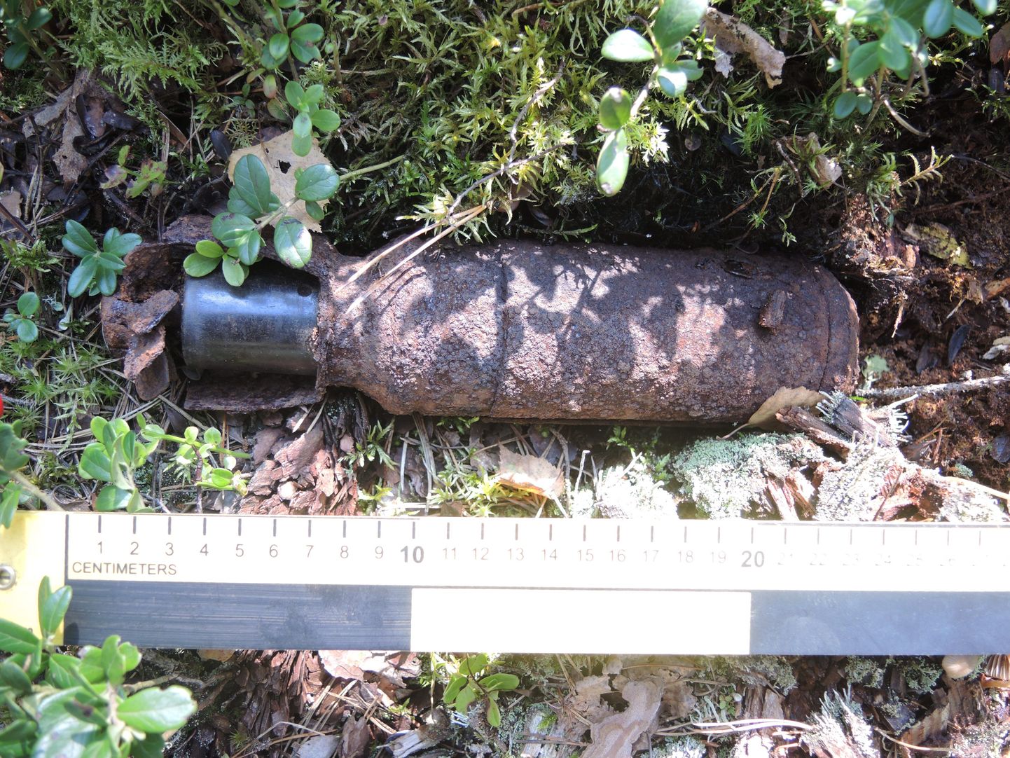 Valgamaal Põdrala vallas Karu külas leidis marjuline metsast vene päritolu kassettlennukipommi.