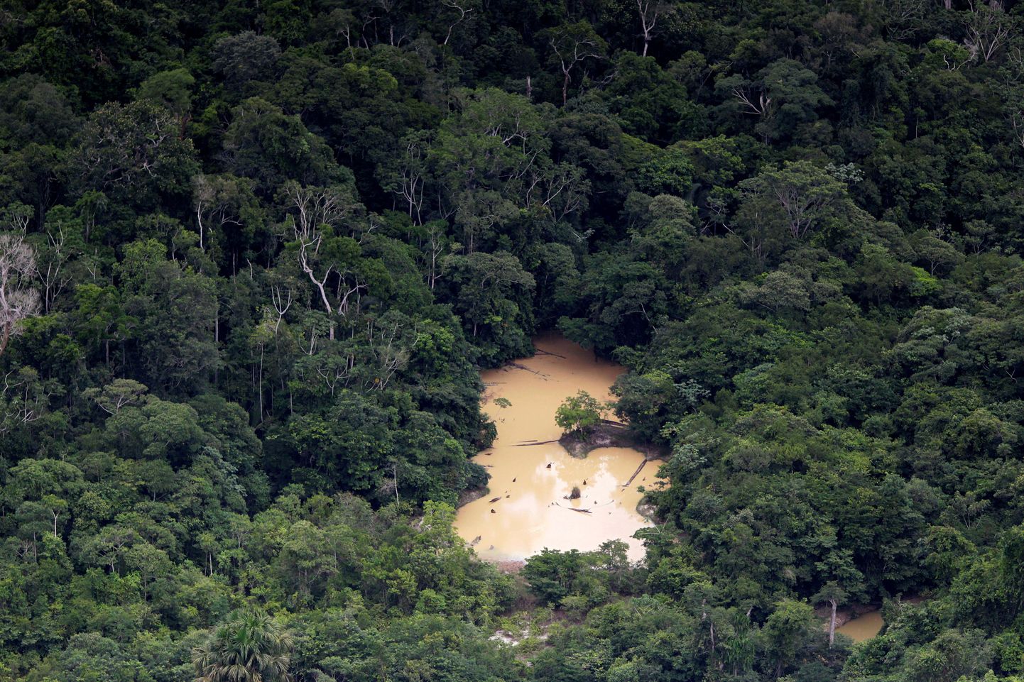Ebaseaduslik kaevandus Amazonase vihmametsas. Pilt on illustratiivne.