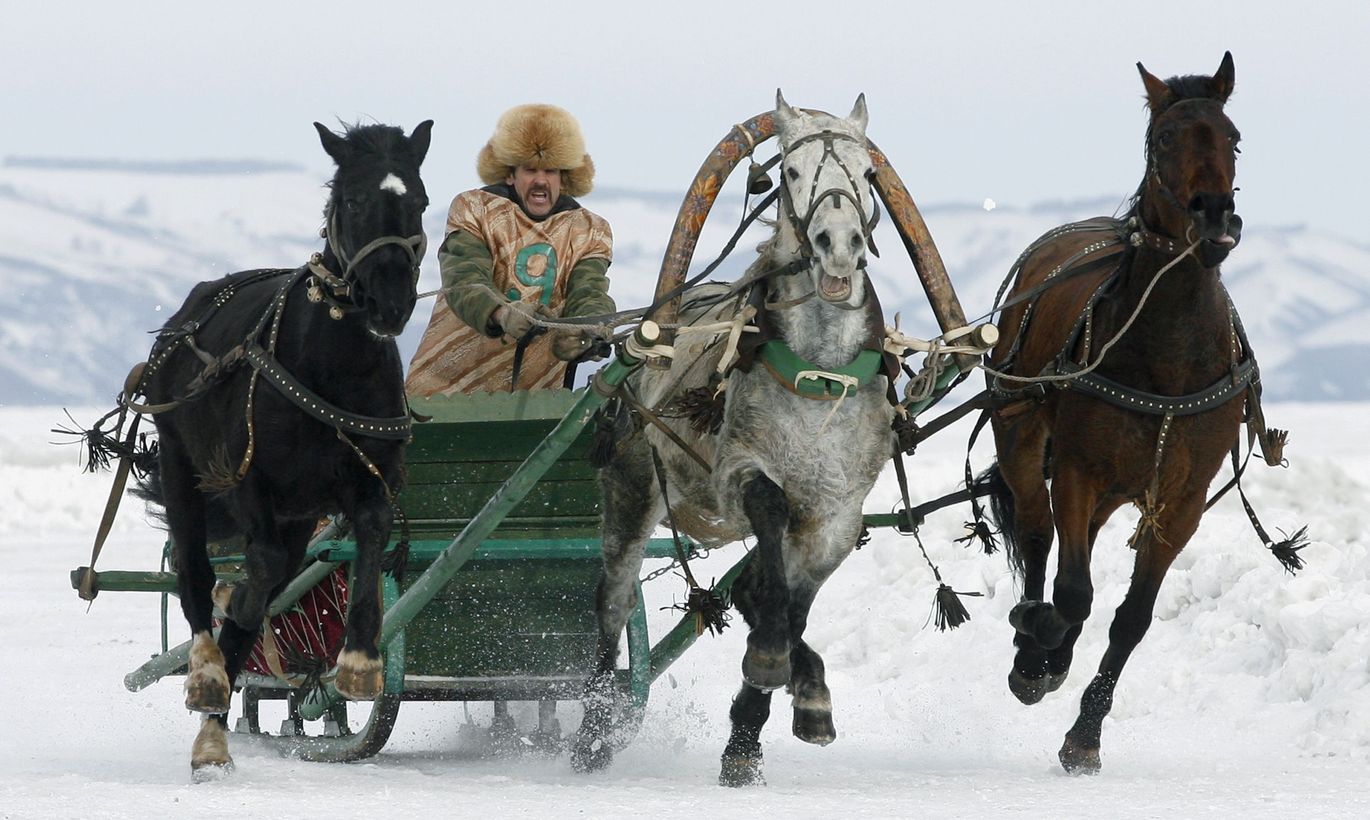 Зима лошадь сани фото