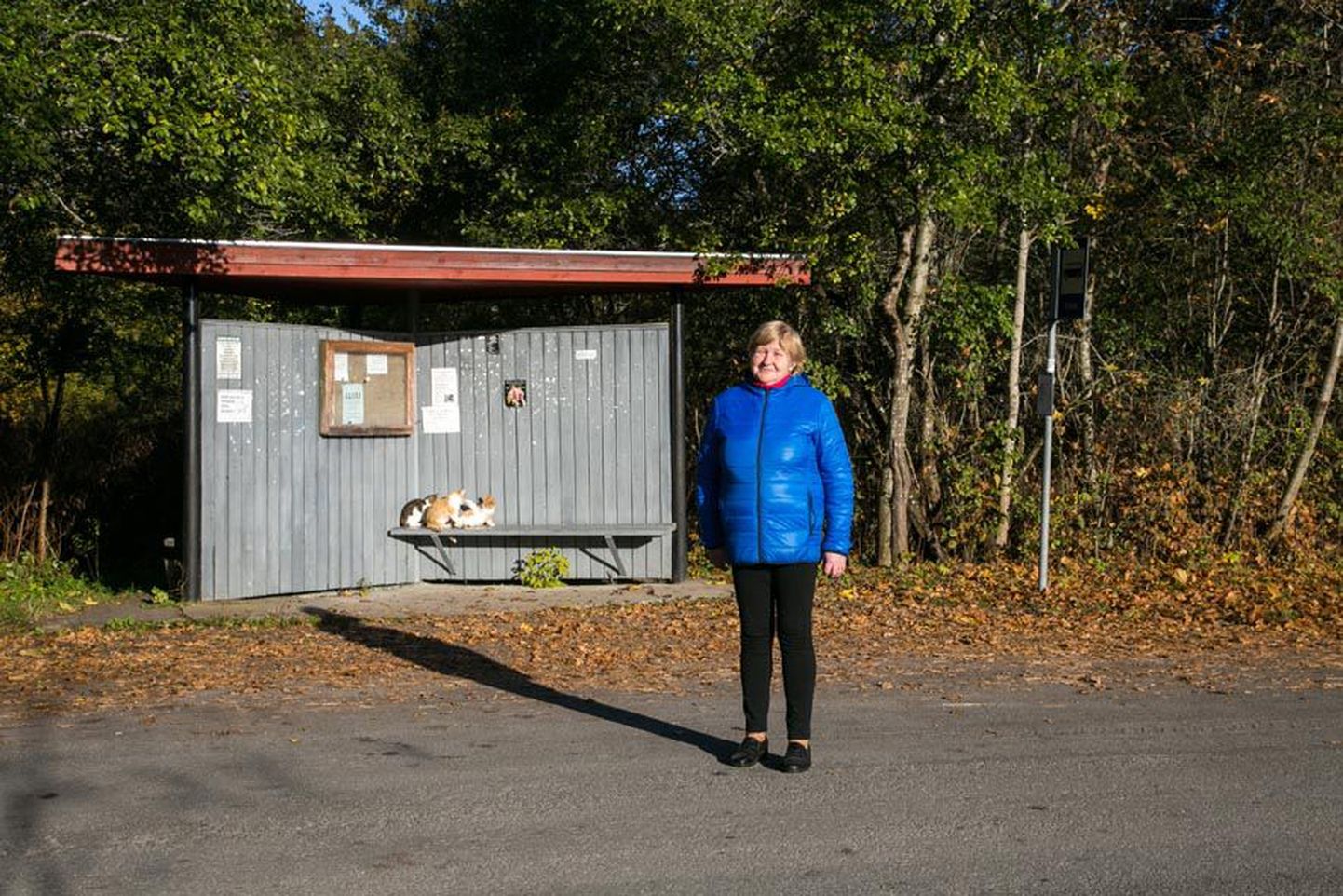 Esna külavanem Ene Mikk seisab teleseriaalist «Naabriplika» üle Eesti tuntud bussipeatuses koos kassidega, kes on tavaliselt platsis ka võttepäevadel.