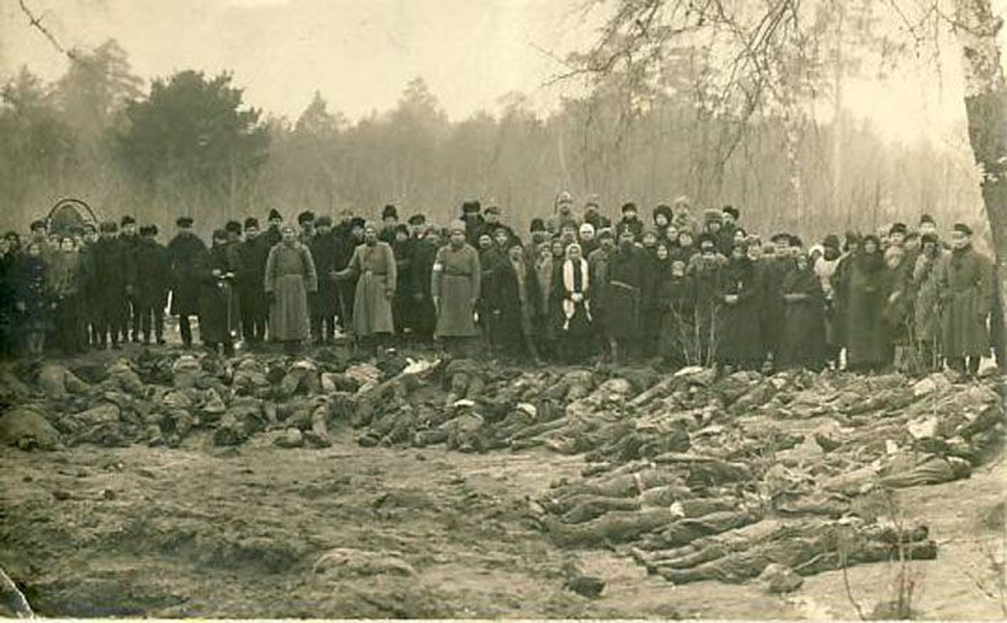 Rakvere linnarahvas on kogunenud vaatama enamlaste ohvrite massihaua avamist Palermo metsas pärast linna vabastamist 12. jaanuaril 1919.