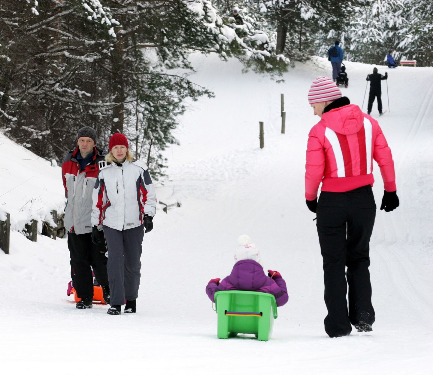 World Snow Day on FISi ehk rahvusvahelise suusaliidu korraldatav ülemaailmne lume päev.