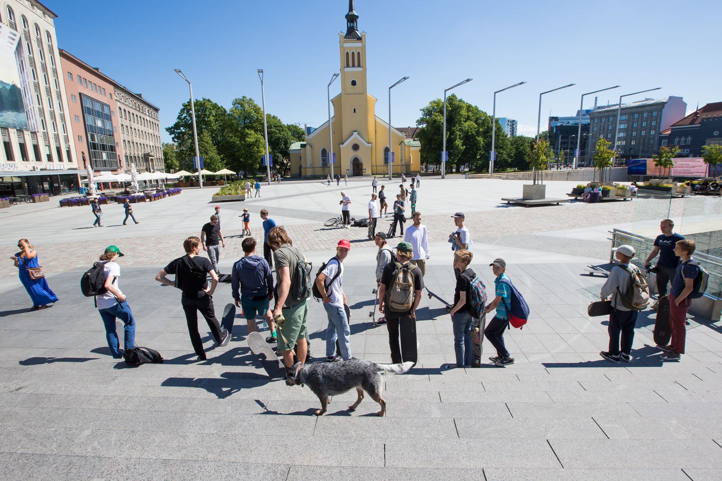 Esimene Tallinna ametlik rulapäev Vabaduse väljakul.