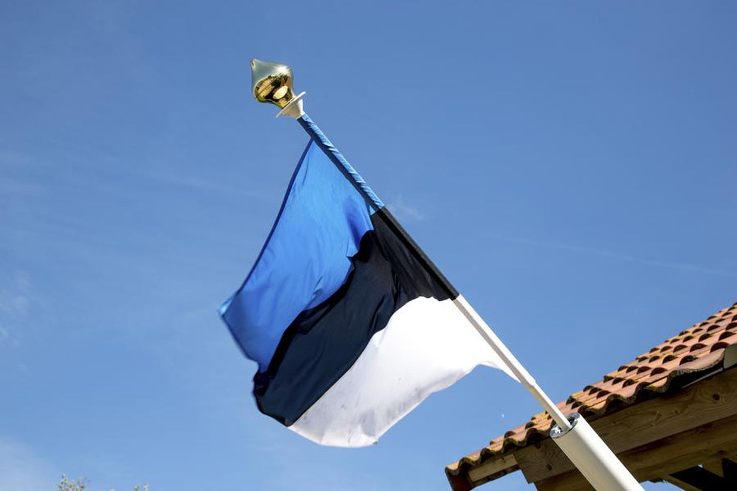 Eesti Vabariigi auks toimuvad sünnipäevapidutsemised terve nädala vältel.