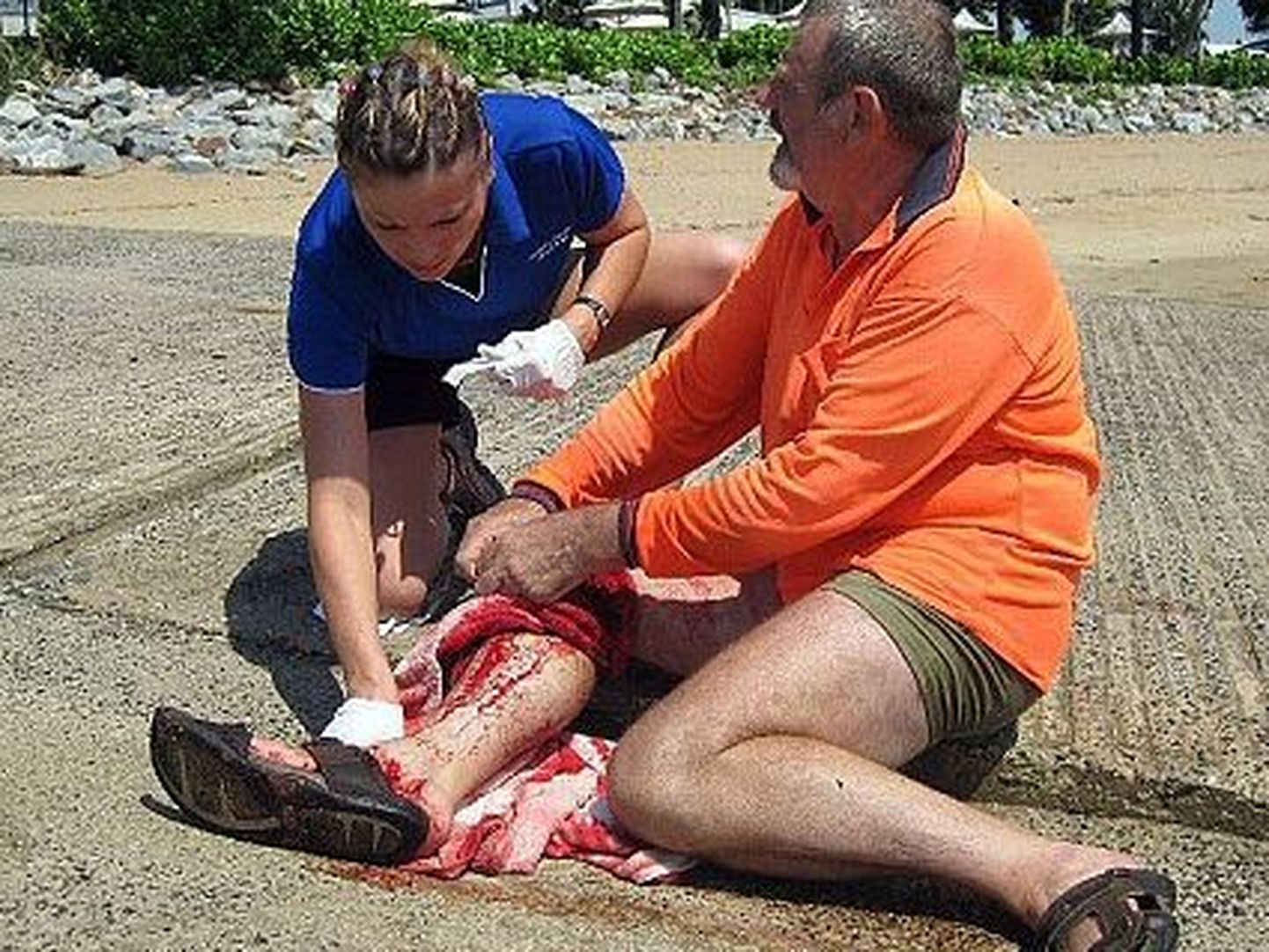 Hai tõttu vigastada saanud Geoff Johnson