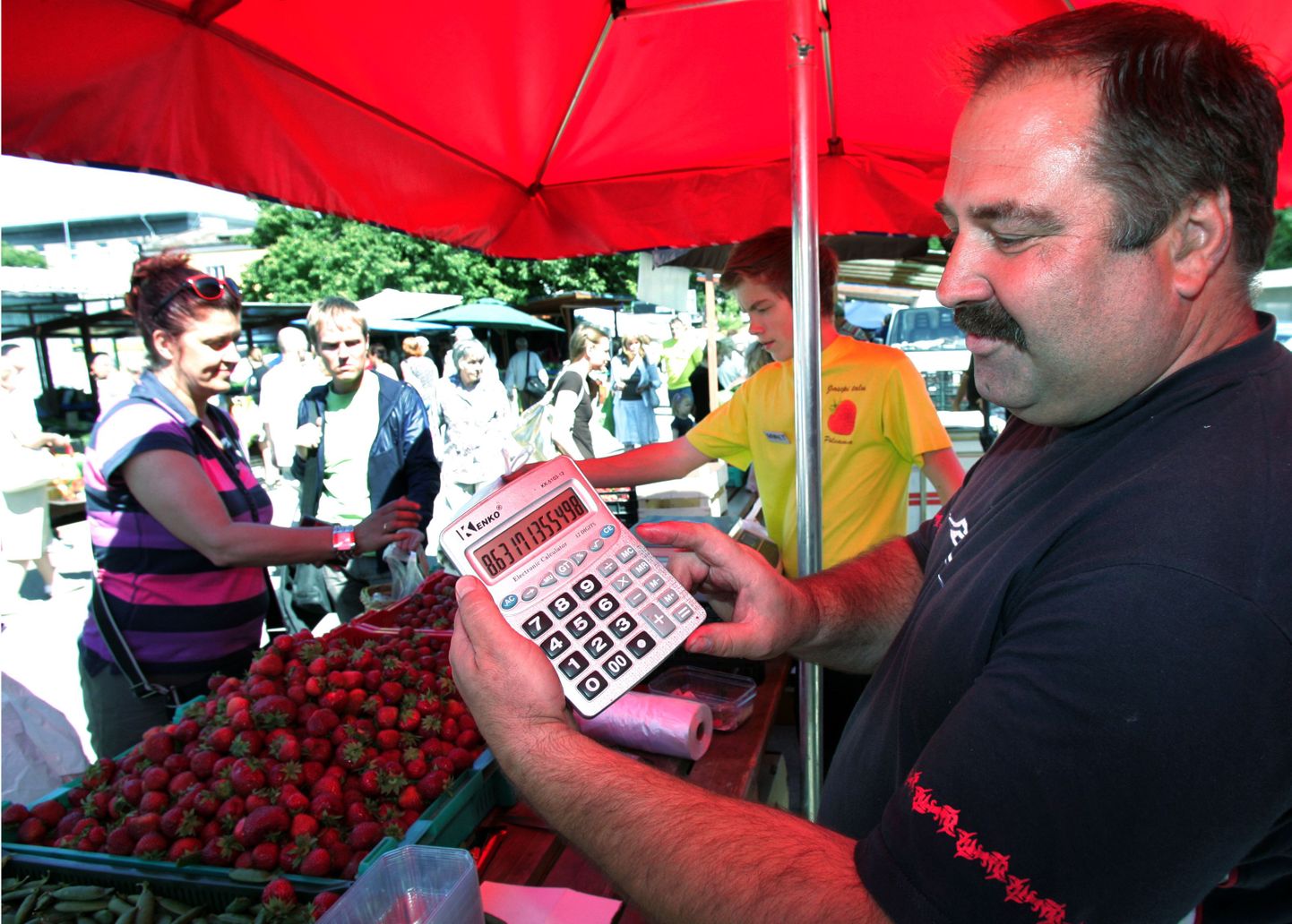 Põlvamaal Joosepi talu pidav Hillar Lillo eile maasikate hinda eurodesse löömas.