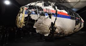 У вернувшегося из Донбасса голландского журналиста нашли кость пассажира MH17