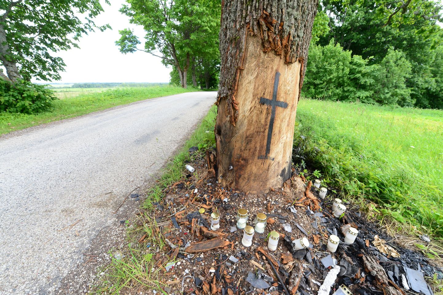 Tamme tüvele Laiuse-Kuremaa maantee ääres, mille vastu sõitnud juht hukkus, on võõbatud must rist.