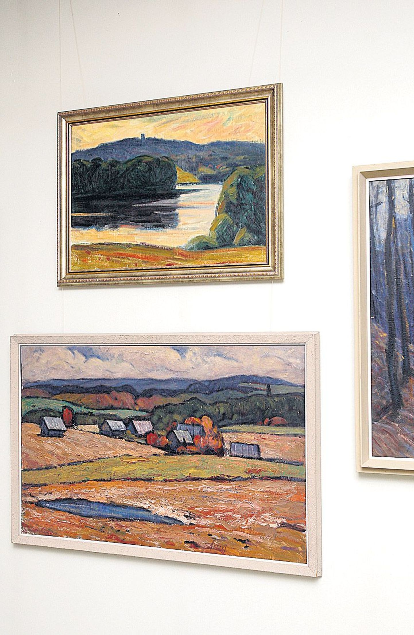 Kunstnik Albert Annit on köitnud esmajoones maastiku maalimine.