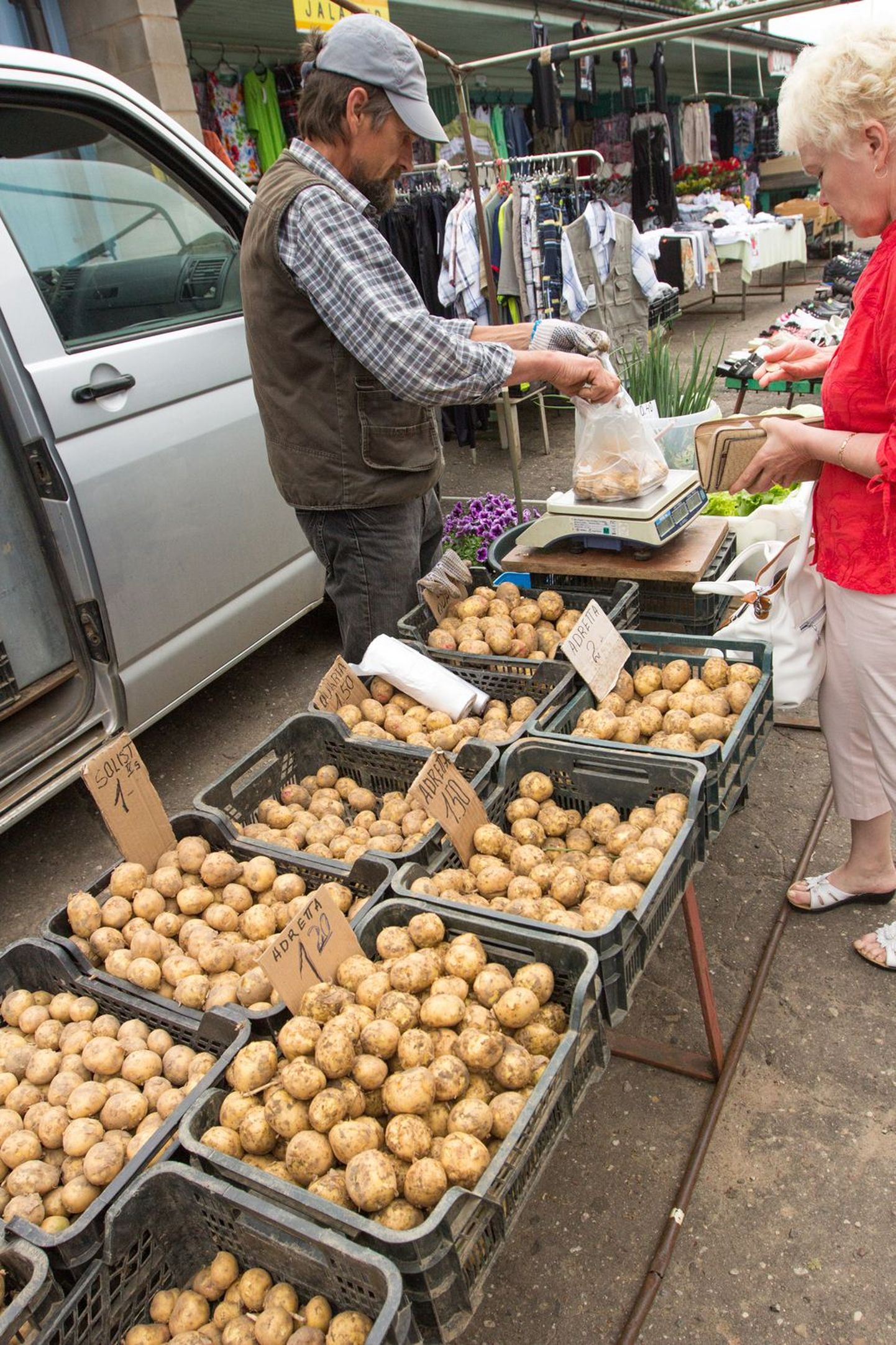 Müüjate sõnul pole praegu kartuliostmise tipphetk, sest hind on veel liiga kõrge.