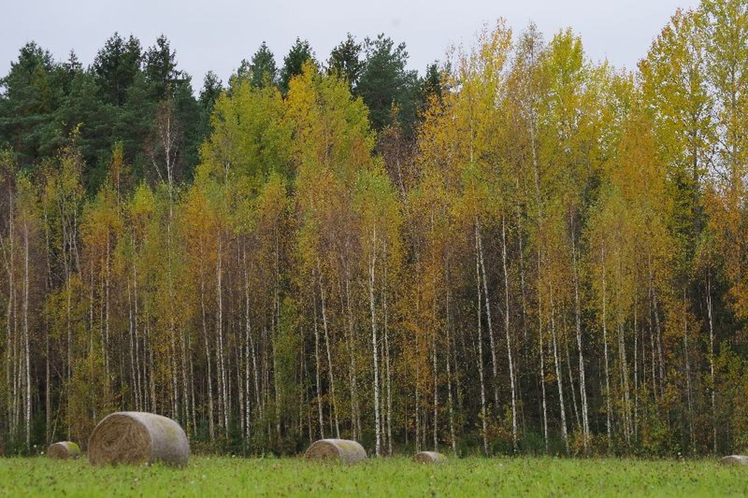 Sügis Võrumaal.