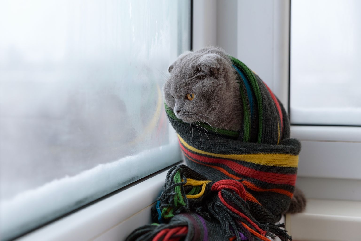 Зима