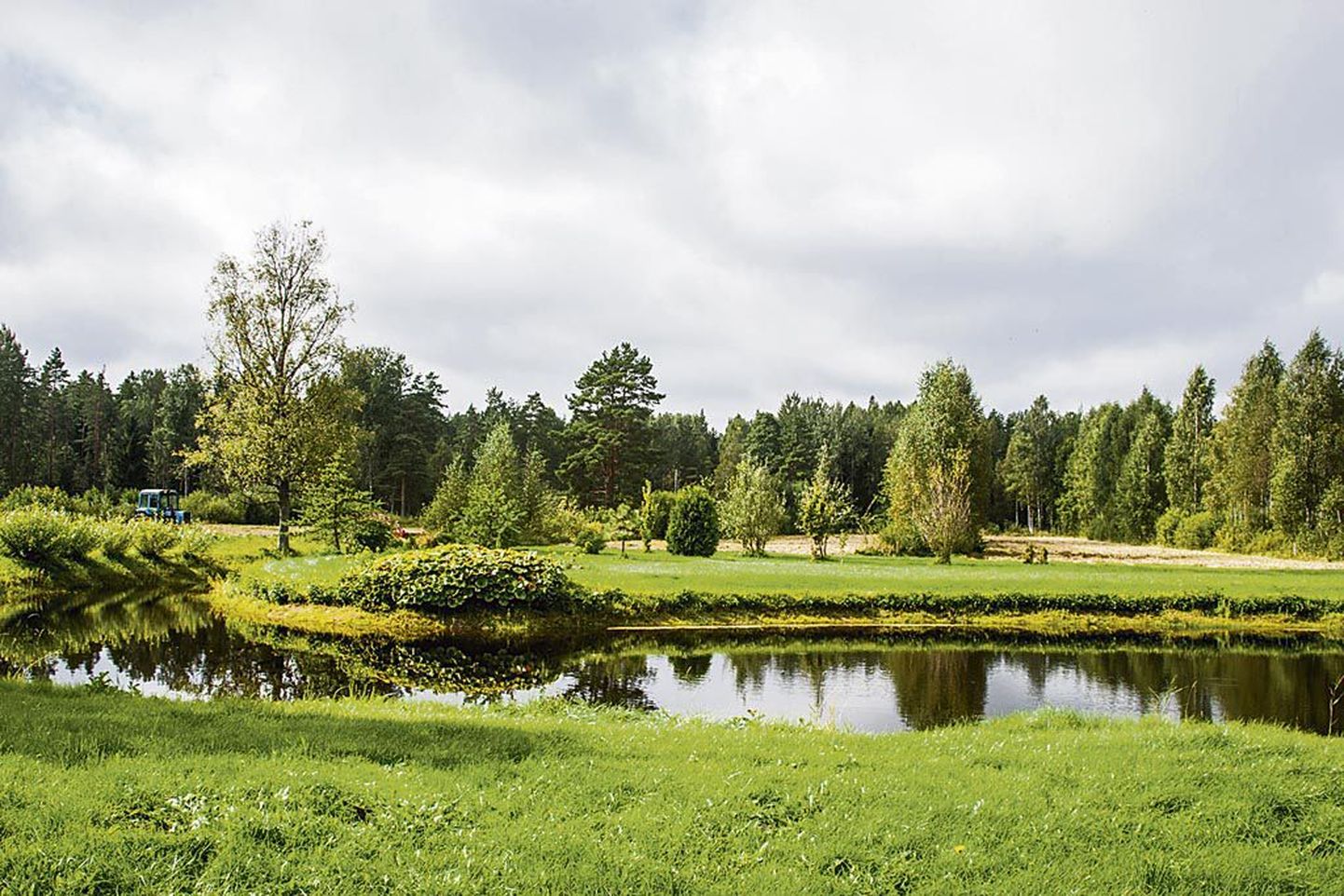 Uus-Saarde talu majandav Ester Rozgatšov alustas talu juurde parkmetsa rajamist viie aasta eest. Noores niidetud alusega parkmetsas kasvab 30–40 liiki puid-põõsaid.