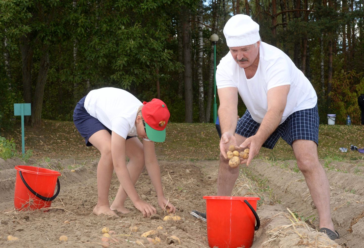 Aleksandr Lukašenko kartulipõllul tööd murdmas.