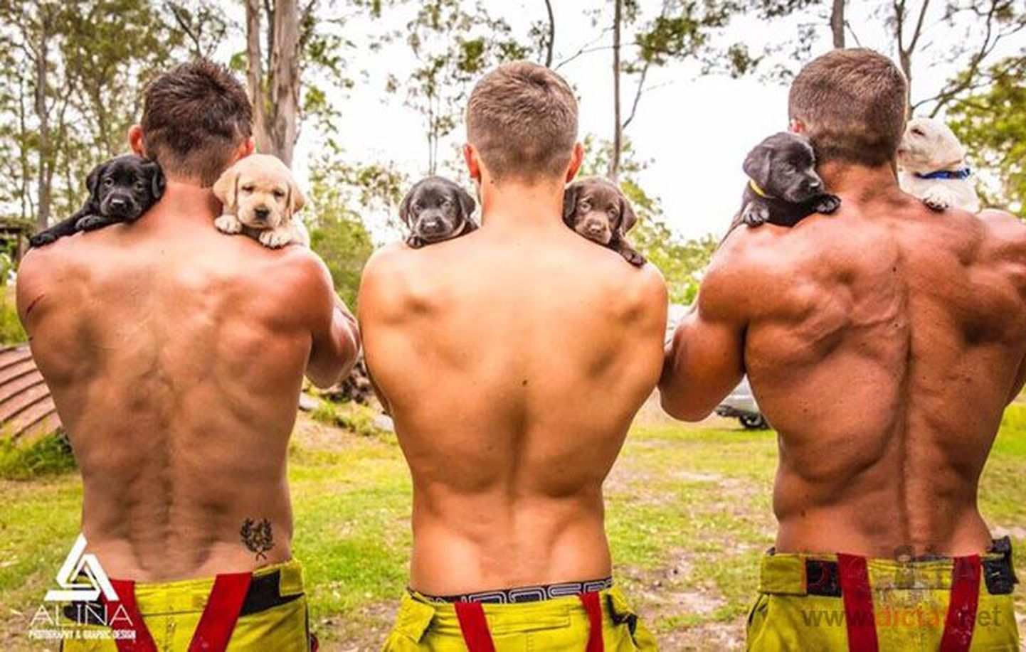 Пожарные со щенками