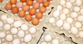 Eestlane sööb rohkem odavaid importmune