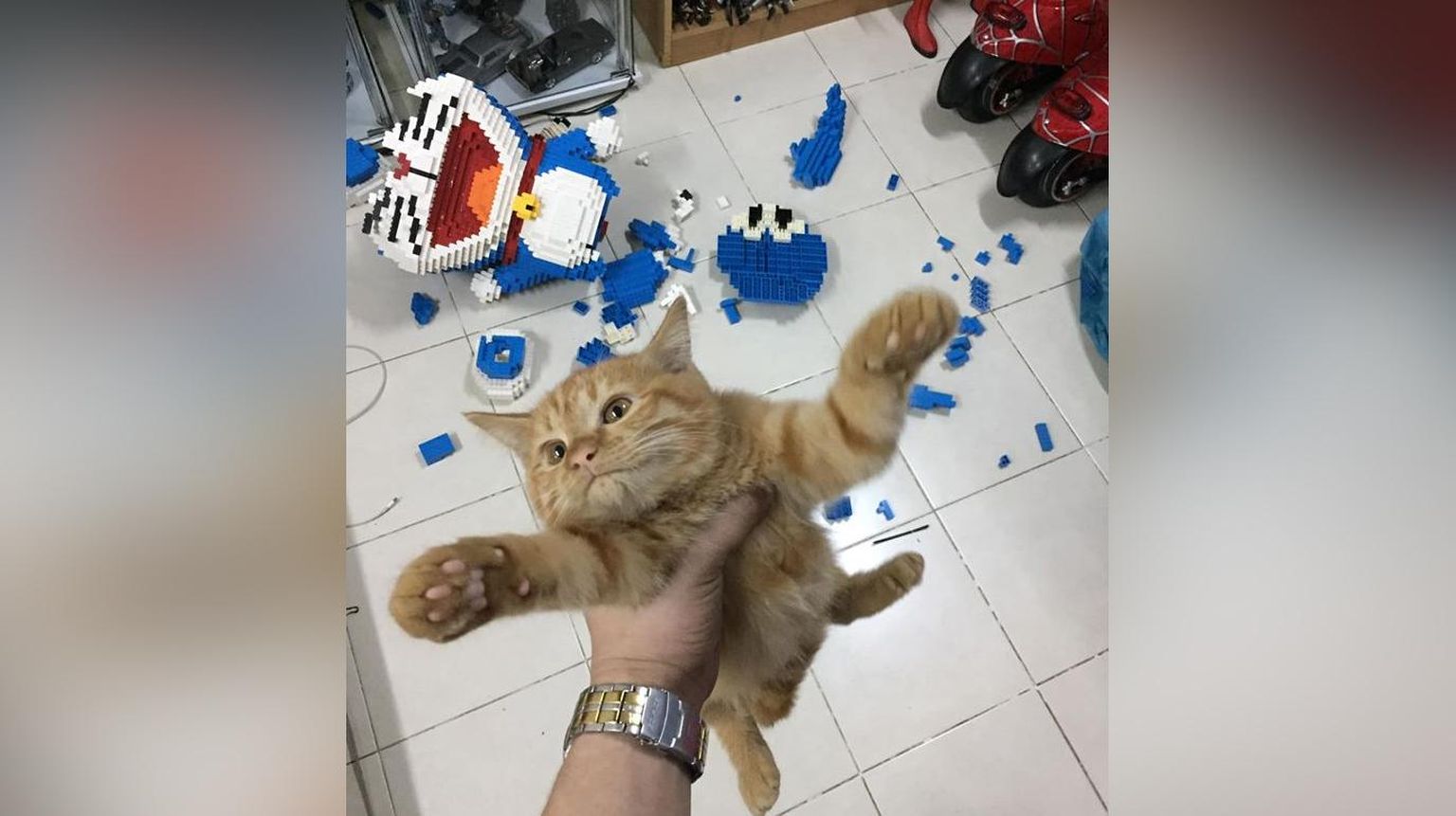 Кот разрушил фигуру кота, которую его хозяин собирал на заказ из лего