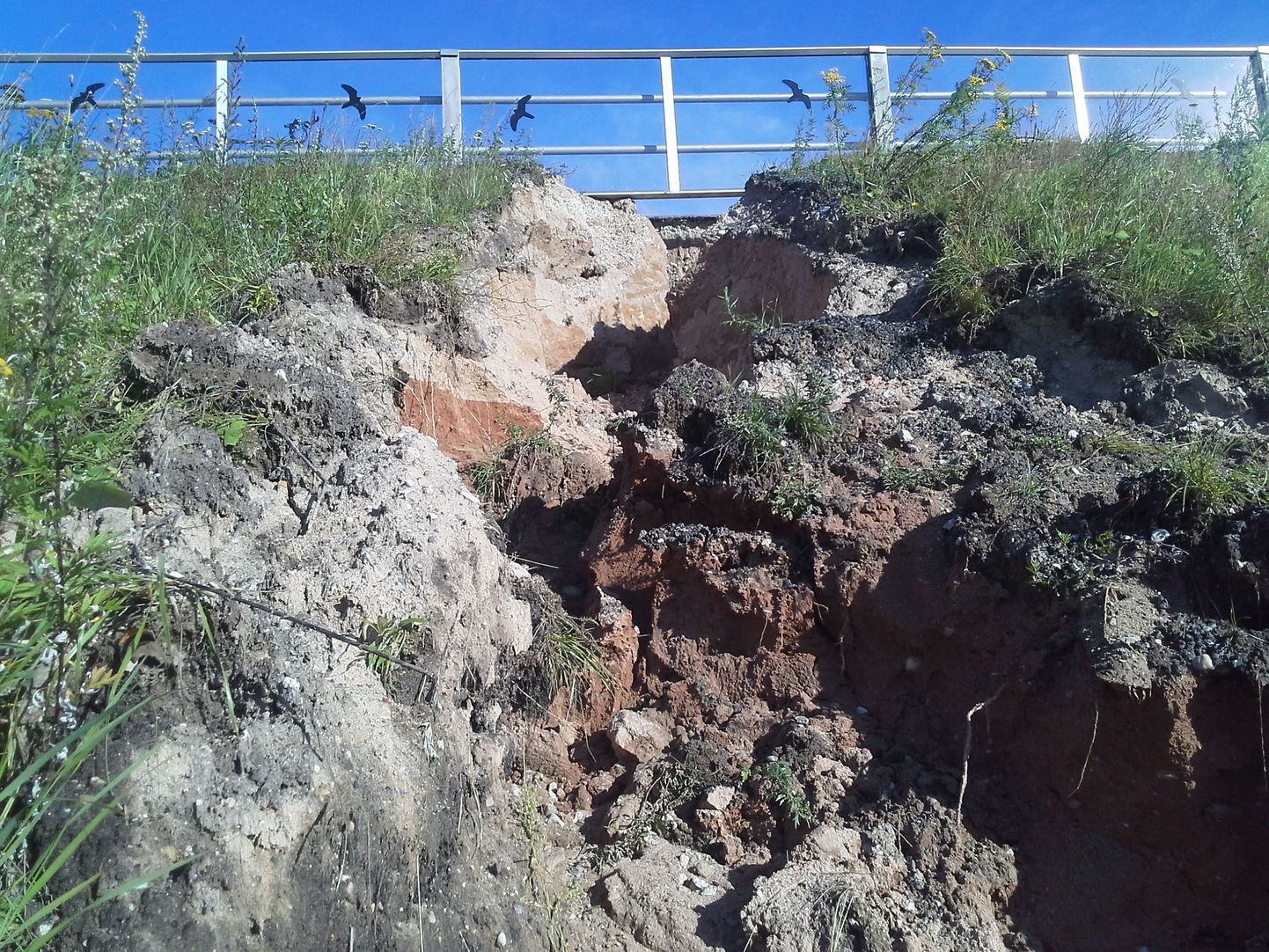 Idaringtee ääres Ihaste silla juures on vihmavesi kahjustanud teetammi.