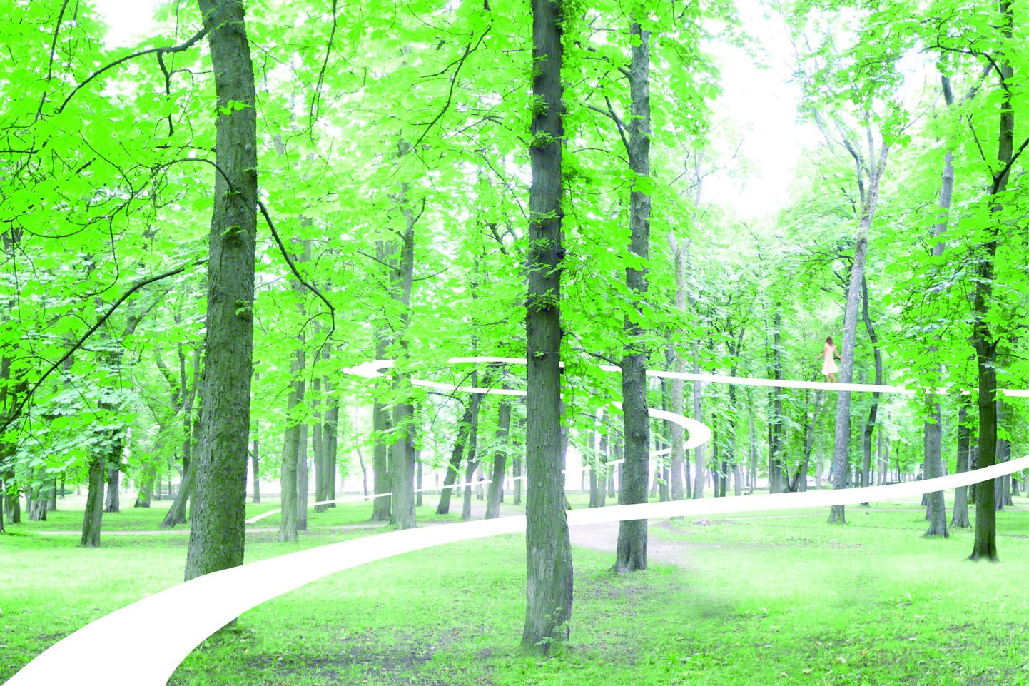 Эстонский лес. Иллюстративный снимок.