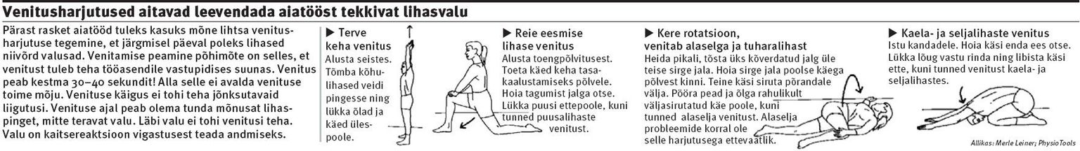 Venitusharjutused aitavad leevendada aiatööst tekkivat lihasvalu