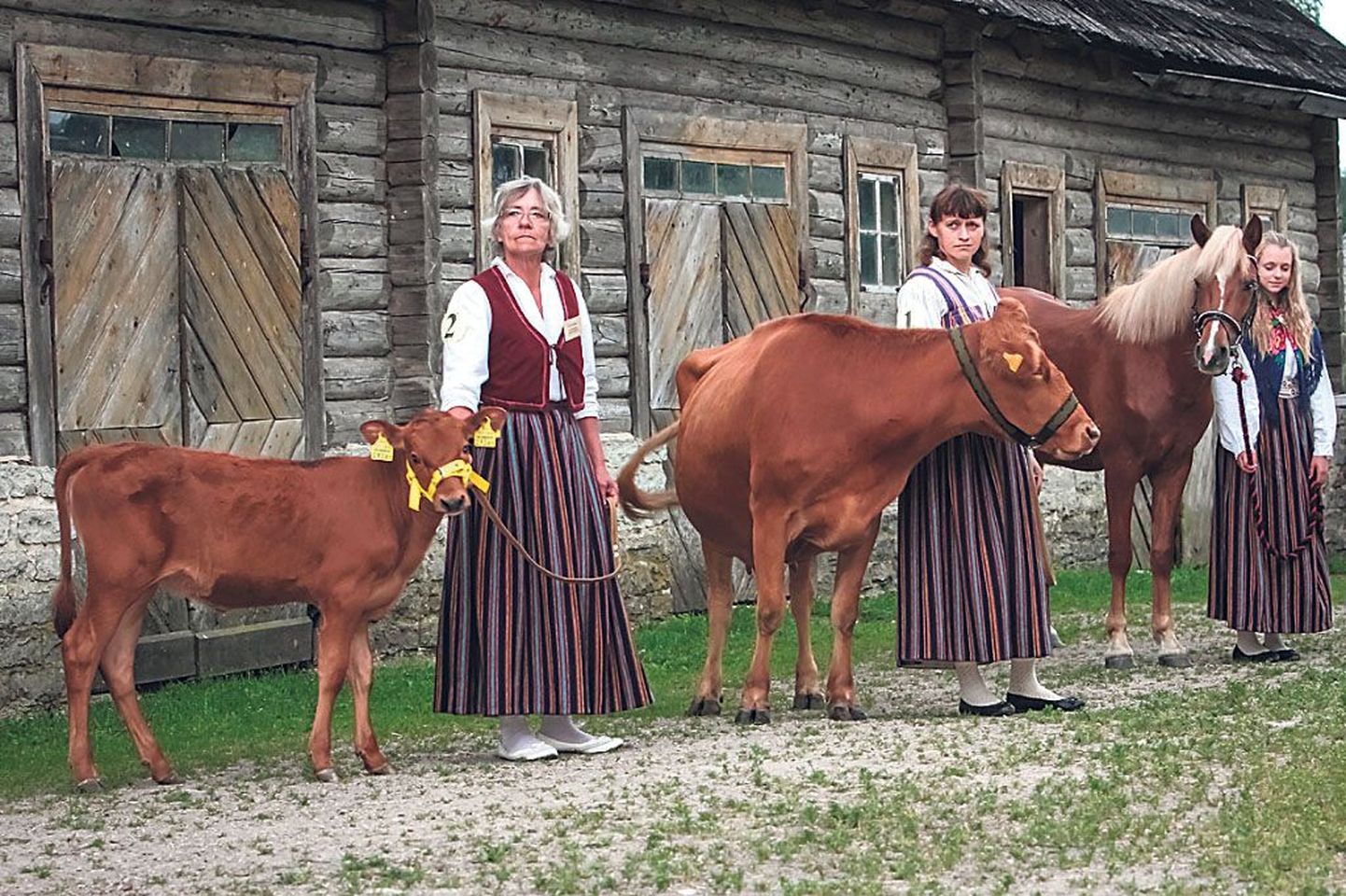Kurgja talumuuseumi laudast toodi välja eesti maatõugu veised ja Tori hobune.