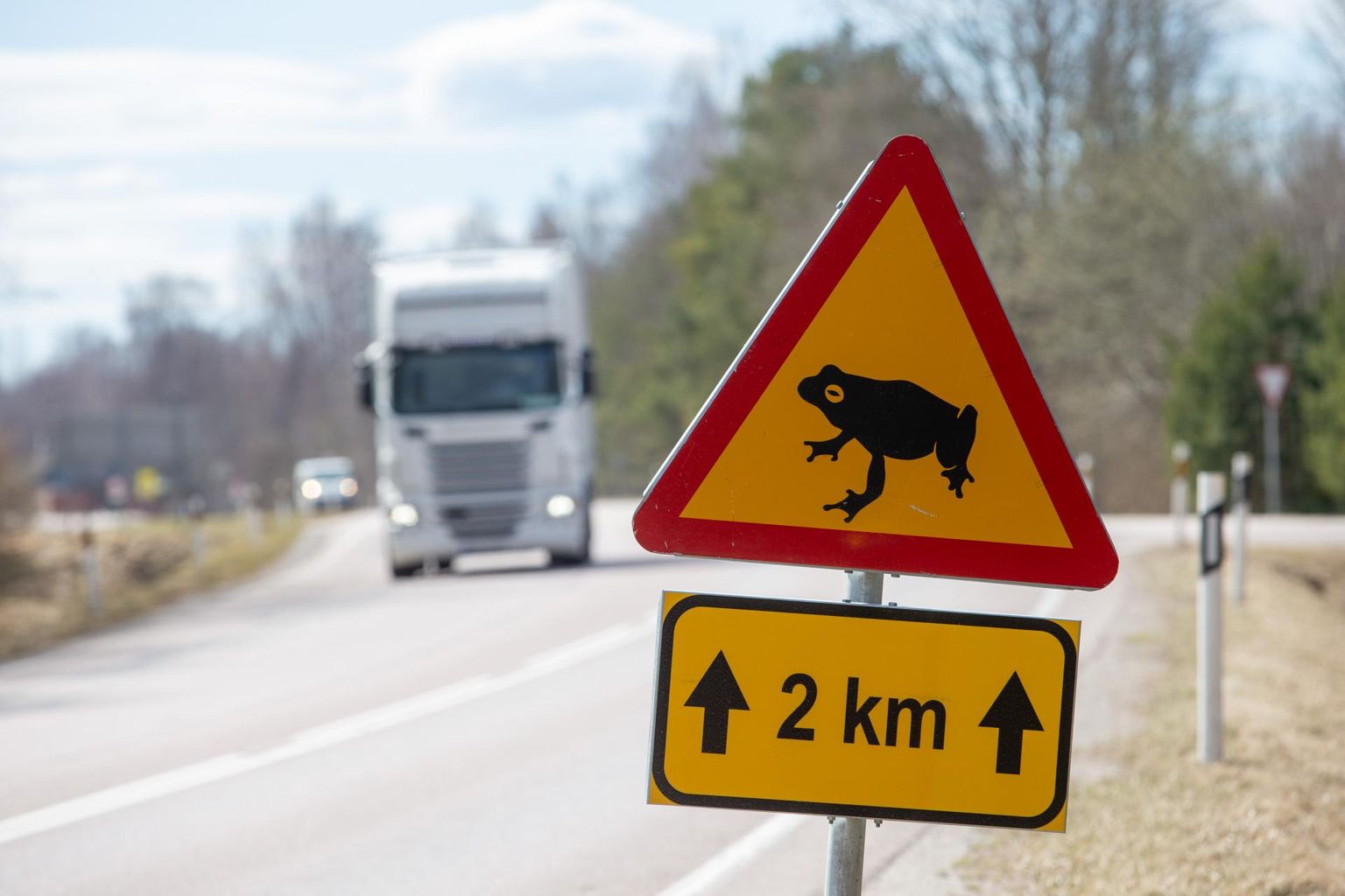 Kevadise rände ajal ületab teed kümneid tuhandeid konni.