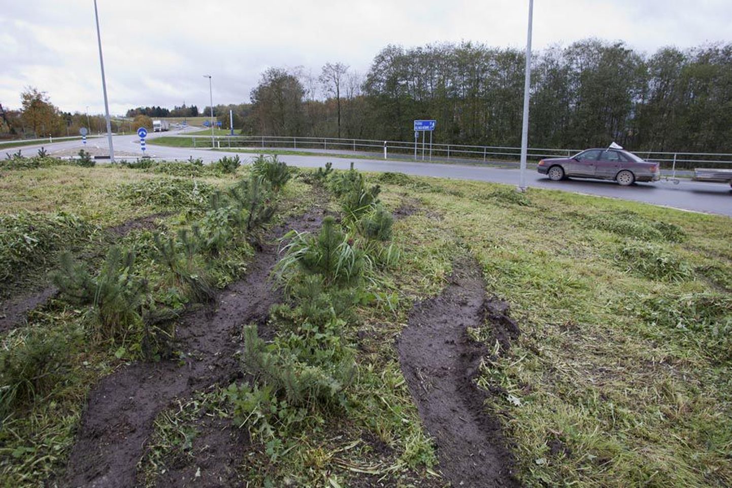 Neljapäeva hommikul oli Pärnu maantee ringristmiku keskel paiknev haljasala täis autojälgi ja lõhutud väikseid puid.