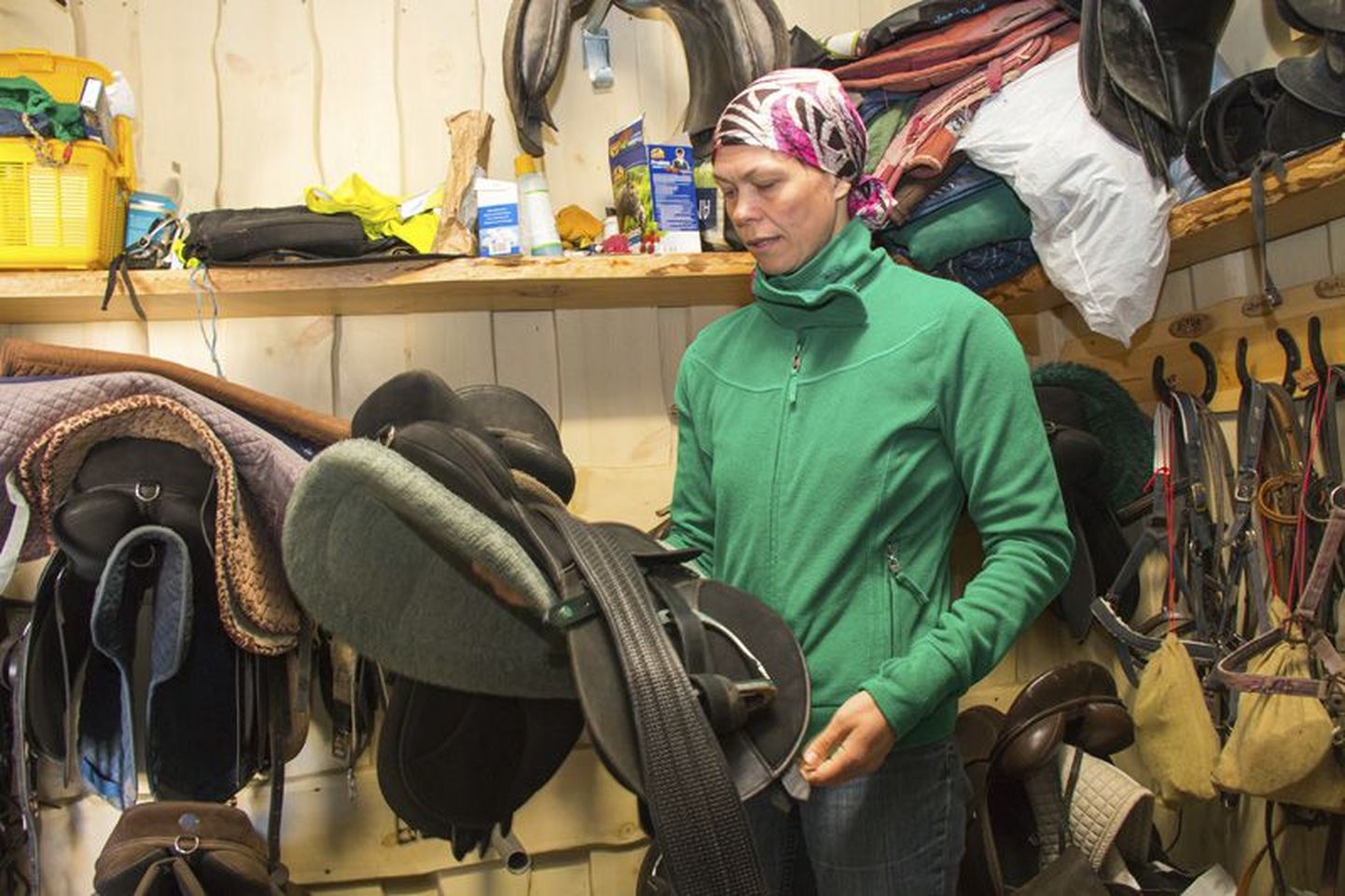 Kuusekännu ratsatalu perenaise Annika Lemberi sõnul kasutab ta üldsadulat,   millega saab  madalal tasemel nii kooli- kui takistussõitu harrastada.