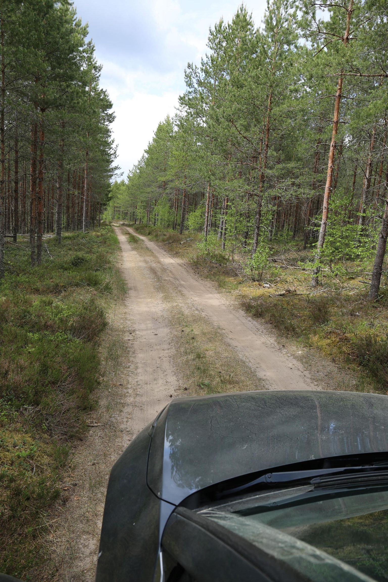 Läbi metsa Saarlasõ külla viiv tee lubab sõita vaid aeglaselt ning loota, et keegi vastu ei juhtu tulema.