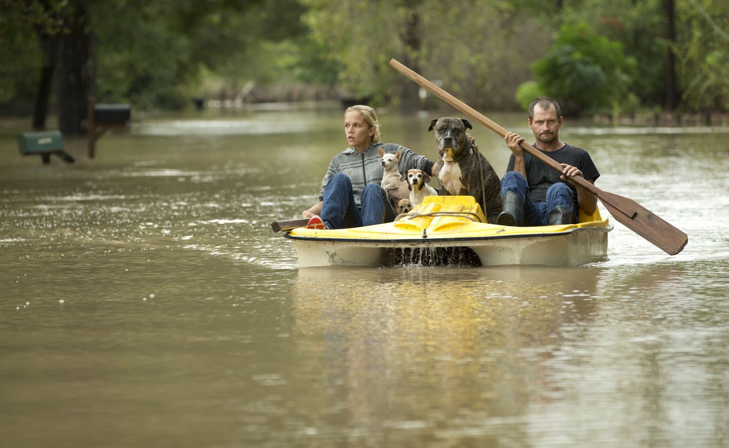 Texase üleujutused.