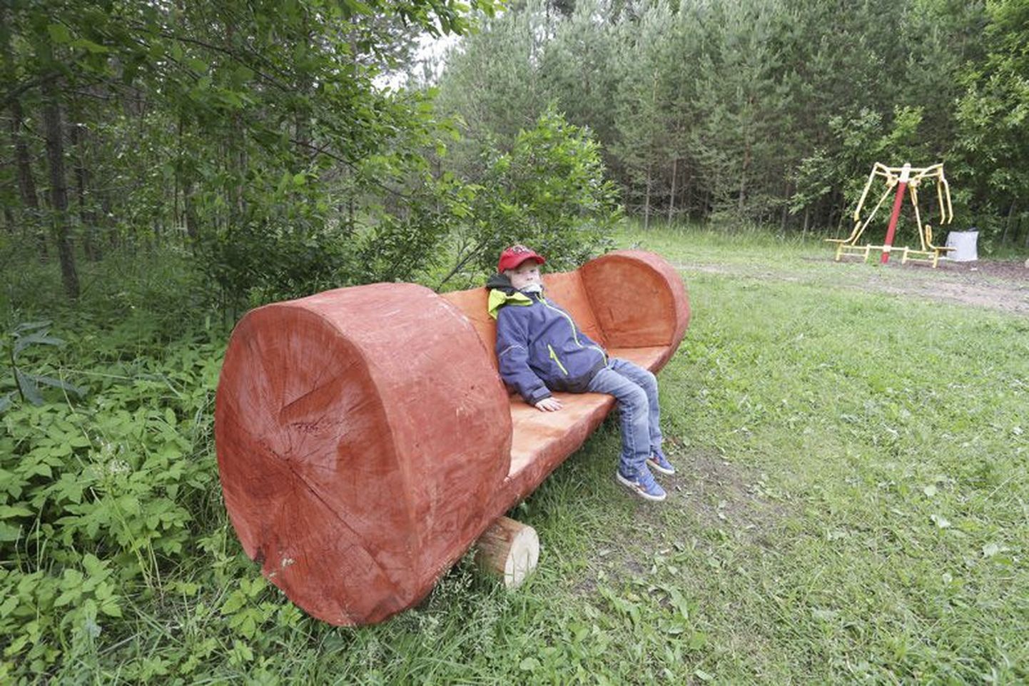 Rakveres on tammikusse ja linnametsa paigaldatud puutüvest tahutud istepingid, mis loodetavasti peavad vastu nii ilma kapriisidele kui ka vandaalide jõuproovidele.