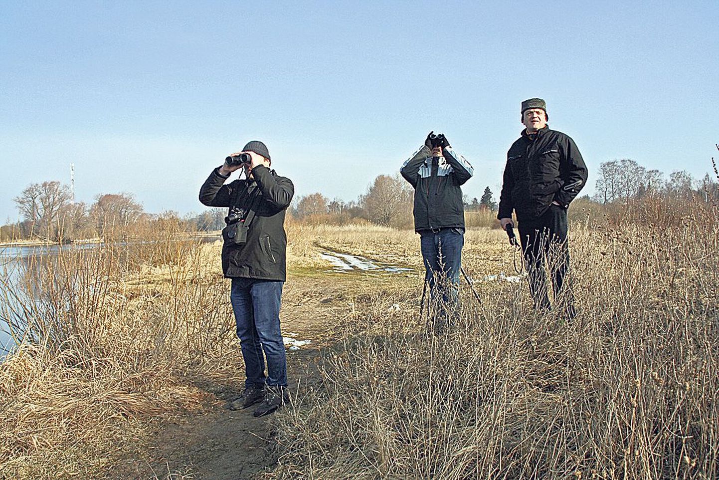 Linnade linnuvaatlusvõistlusel osalenud (vasakult) Aret Vooremäe, Margus Ots ja Peeter Raudsepp silmasid Tartu kõige lõunapoolsemas paigas Emajõe ääres kühmnokk-luige paari.