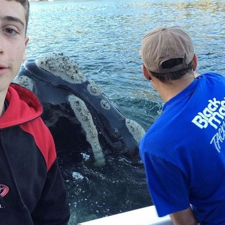 Ivan Iskenderian eemaldab vaala suust kilekotti ning tema semu Michael Riggio teeb sündmusest samal ajal selfie Foto:
