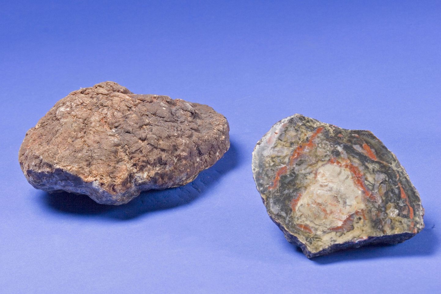 Bonhami oksjonimaja oksjonil müüdud dinosauruse fossiilne väljaheide ehk koproliit