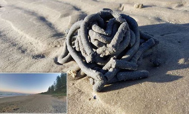 Austraalia Queenslandi rannalt leitud objekt