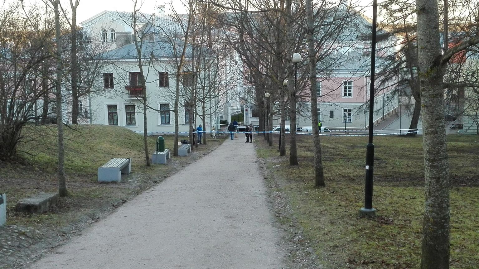 Sündmuskoht Toomemäe nõlval, kus kakluses tapeti mees.