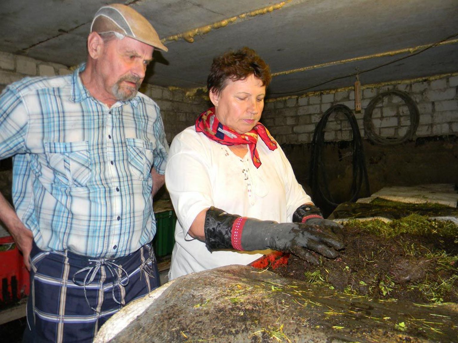 Irēna Tereškoviča ja Ivars Tereškovič oma vihmaussikasvatuse juures.