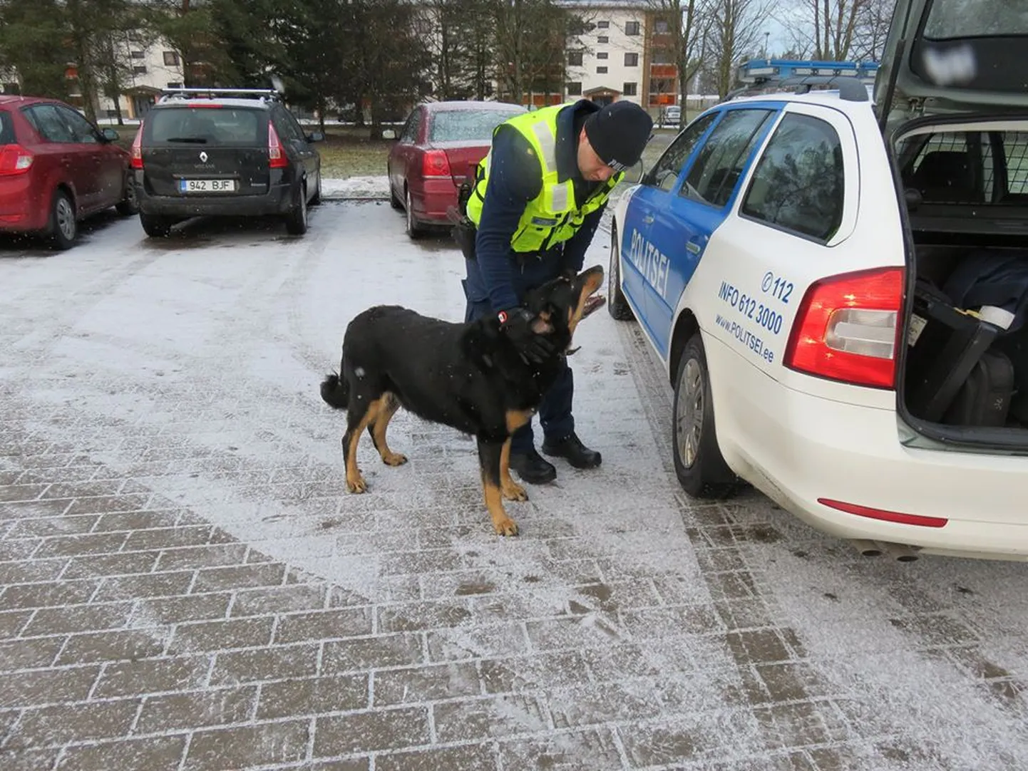 Hulkuva koeraga sõbraks saanud politseipatrull andis looma üle Tartu koduta loomade varjupaigale.